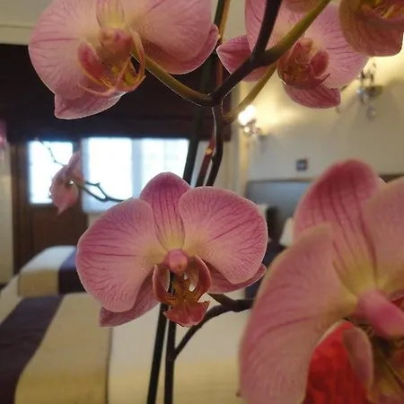 Bakirkoy Tashan Business & Airport Hotel 3*