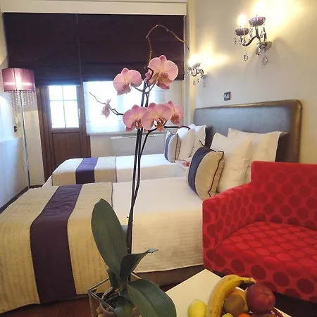 Hotel Bakirkoy Tashan Business & Airport Istanboel