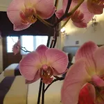 Bakirkoy Tashan Business & Airport ホテル 3*