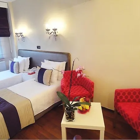 Bakirkoy Tashan Business & Airport מלון 3*
