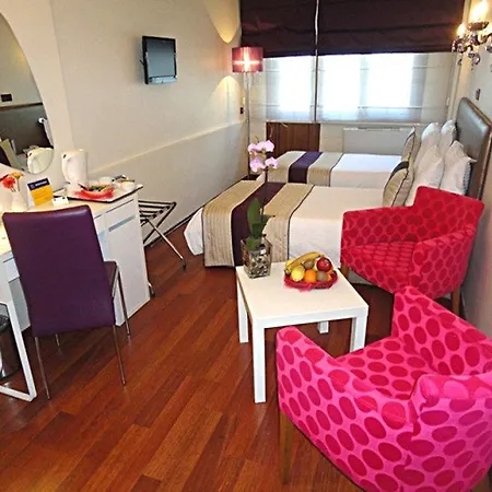 Bakirkoy Tashan Business & Airport מלון 3*