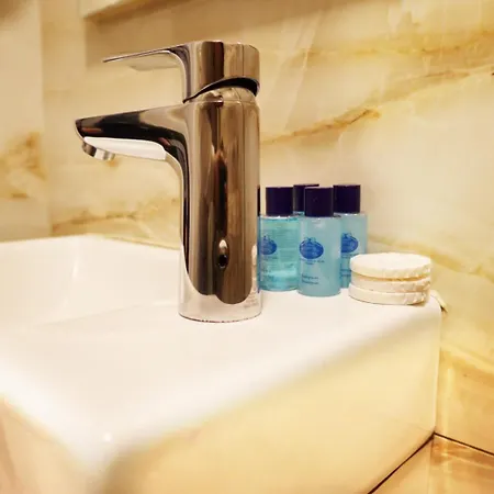 Bakirkoy Tashan Business & Airport Otel