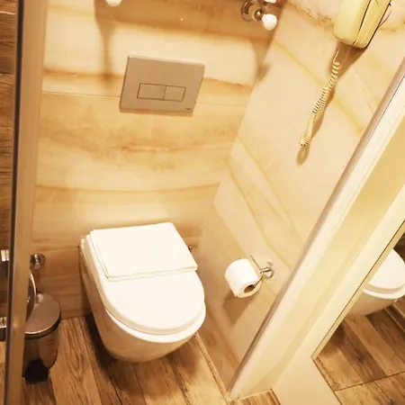 Bakirkoy Tashan Business & Airport Hotel Istambul