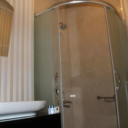 Bakirkoy Tashan Business & Airport Hotel Istambul