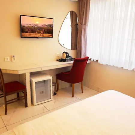 Bakirkoy Tashan Business & Airport Hotel Estambul
