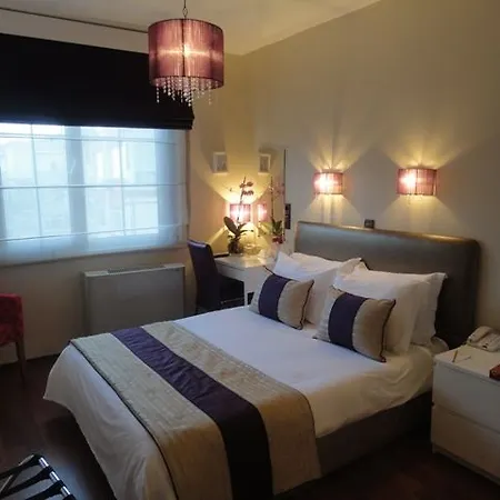 Hotel Bakirkoy Tashan Business & Airport Estambul