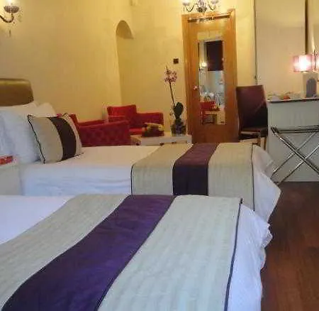 Hotel Bakirkoy Tashan Business & Airport Istanbul